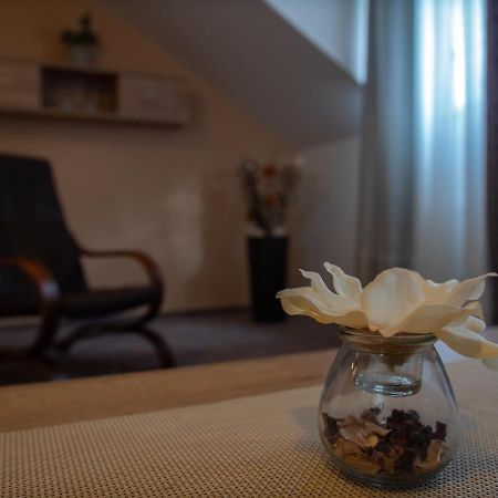 Hotel Pizzeria Istria Velke Losiny Ngoại thất bức ảnh